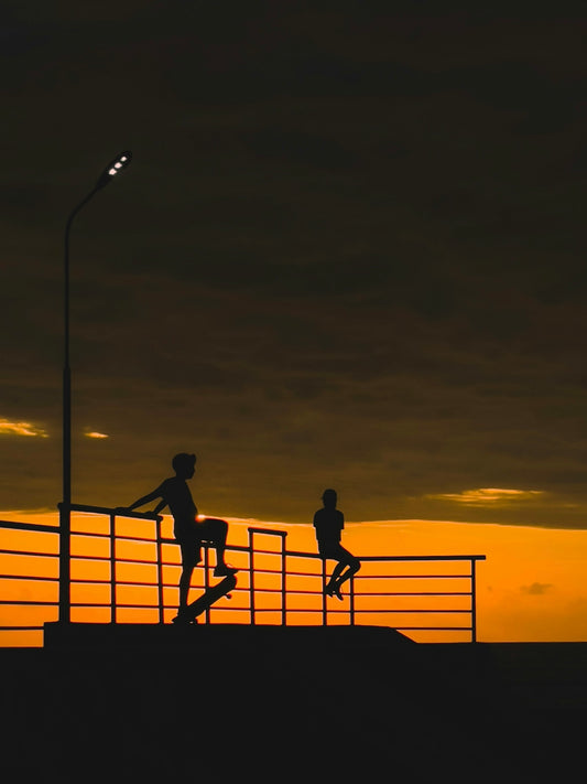 silhouette of 2 men standing on a beach during sunset